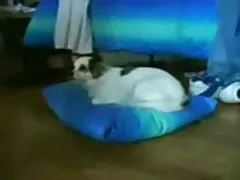 Hard fucking in the ass video here and there innocence